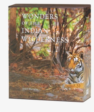 Wonders Of The Indian Wilderness - Bengal Tiger