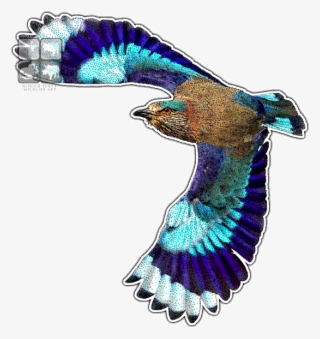 Indian Roller Decal - Peafowl