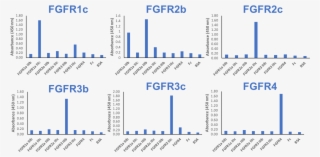 Isoform-specificity Of The Fgfr Antibody Panel - Diagram
