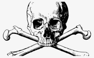 15 Skull And Bones Png For Free Download On Mbtskoudsalg - Skull And Bones
