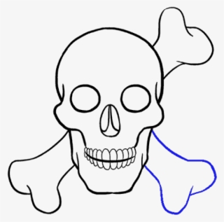 Skull Drawing - Draw A Skull
