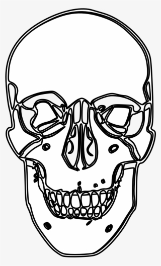 Skull Line Drawing - Skull