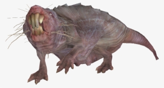 Mole Rat Brood Mother - Cryptid