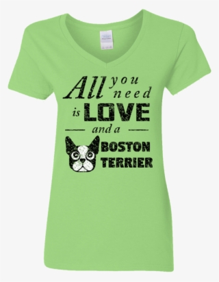 Ladies V Neck T Shirt All You Need Is Love, And A Boston - Love Poems For A Girl