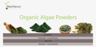 Algae Products - Fuel