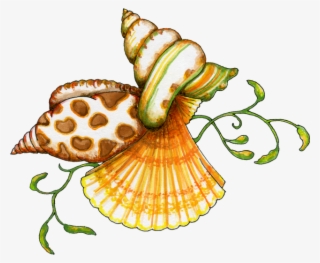 Sea Art, Paint Shop, Sea Creatures, Painted Shells, - Sea Shells Clip Art
