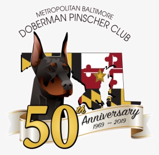 Metropolitan Baltimore Doberman Pinscher Club - Dobermann
