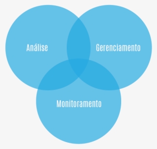 Como Montar Um Plano De Gerenciamento De Mídias Sociais - Circle