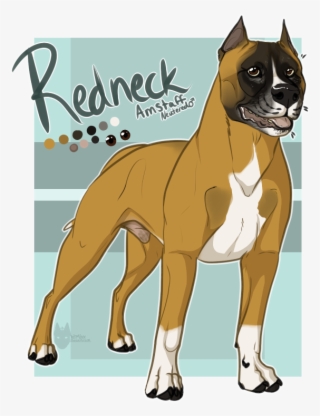 Boxer