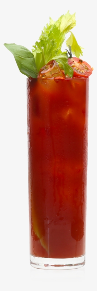 Red Snapper - Zombie