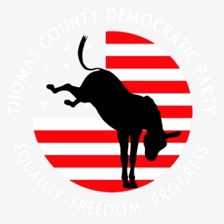 Democrats Thomas County Democrats