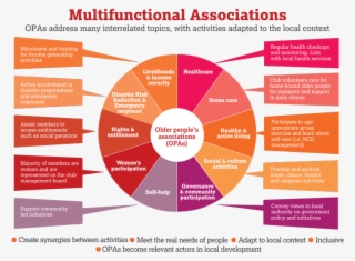 Opas Support Women's Participation, As The Majority - Diagram