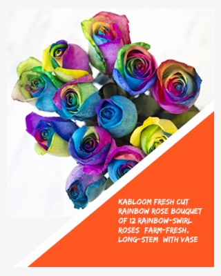 Kabloom Fresh Cut Rainbow Rose Bouquet Of 12 Rainbow - Rainbow Rose
