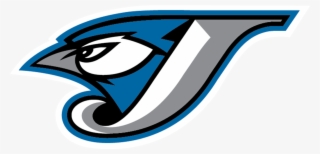 Affiliated Teams - Blue Jays Vector