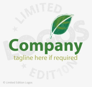 Leaf Logo - Graphic Design