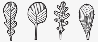 Leaf Logo Copy - Drawing