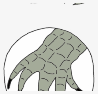 Claws Clipart Aligator - Drawing