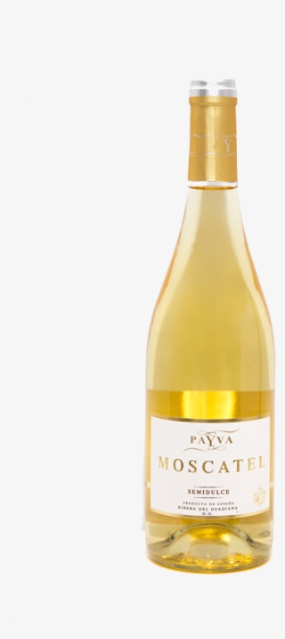 Payva Moscatell Semidulce - Glass Bottle