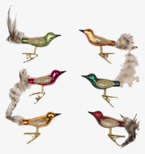 Sass And Belle Set Of 6 Clip On Glass Bird Decorations - Set Of 6 Christmas Clip-on Bird Decoration