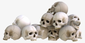 Evil Skull Transparent - Skulls Png