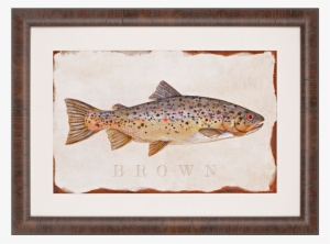 Brook Trout