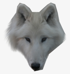 Werewolf Png Face - Real Wolf Face Png