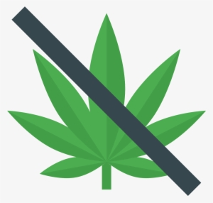 No Drugs Icon - Drogas Png