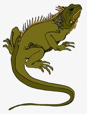 Iguana Cliparts - Lizard Clipart Transparent