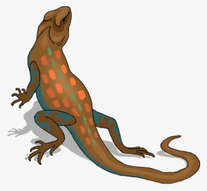 Free - Lizard Png Clipart