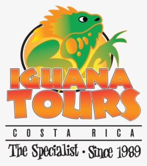 iguana tours' customer satisfaction survey - persistence of vision in animation