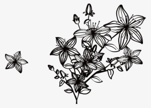 Designer Euclidean Vector Computer File - Black And White Flowers Png