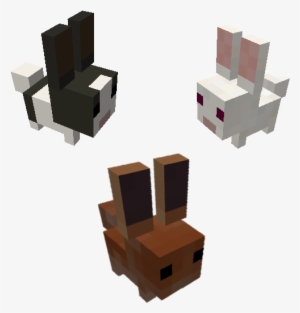 dwarf rabbits - dwarf rabbit