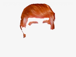 Donald Trump Hair Png - Donald Trump Hair Png Transparent