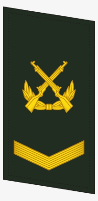 Plagf Collar 0704 Sgt - Emblem