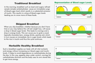 Healthy Blood Sugar Levels - Sugar Level Without Breakfast