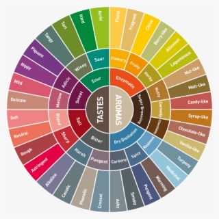 Coffee Flavour Wheel - Ruota Delle Emozioni Italiano Transparent PNG ...