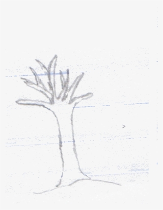 Your Virtual Tree - Sketch