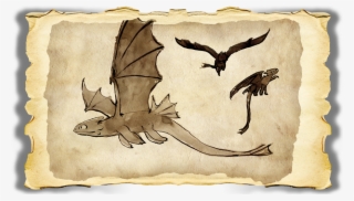 How To Train Your Dragon Book Of Dragons Cover - Toothless From The Book Of Dragons