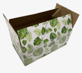 10x6x4 Banana Leaves Designer Boxes - Box