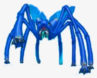 Photo Worm-millidith - Spider