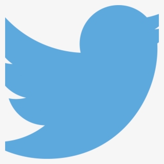 Twitter Logo Vertical