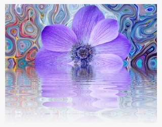 Beautiful Colourful Flower Blossom Flower Background - Png Transparent Faded Purple Splash