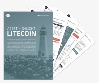 What Do You Know About Litecoin - Walton Lighthouse