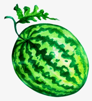 Watermelon - วาด เส้น แตงโม