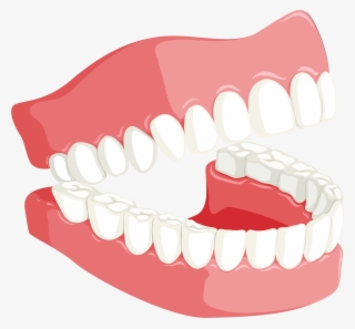 Therefore, Brush Daily, Do Flossing Between The Gaps - Teeth Dental Png