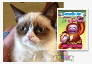 Grumpy Cat - Let It Go Grumpy Cat Meme