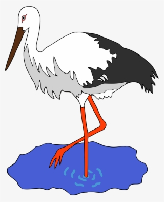 This Free Icons Png Design Of Kress's Stork In A Pond
