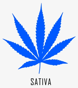 Marijuana Logo