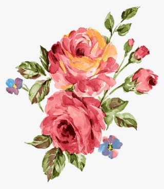 Rosa Oleo Decoupage Pinterest Pintura Aquarela Imagens - Rose Red Watercolors Transparent