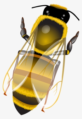 Bee Png Clip Art - Illustration